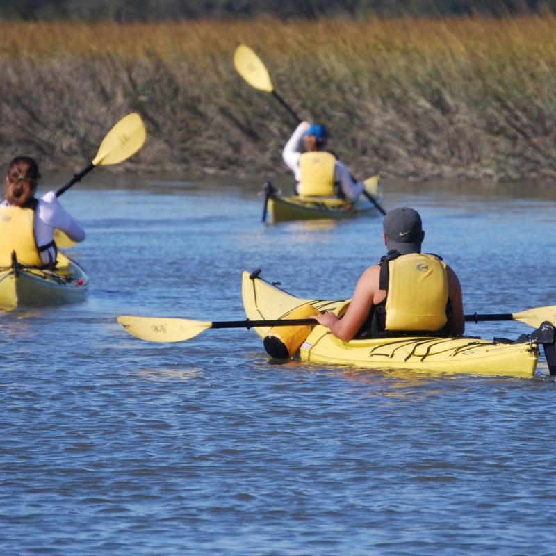 Marsh Kayaking Tour