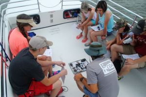 a group of people looking at a cell phone